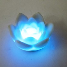 Flor de lotus com luz