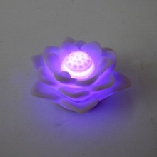 Flor de lotus com luz